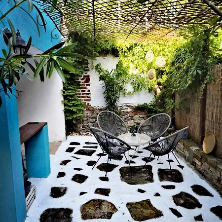 Modern 1br With Private Garden Center アパート
